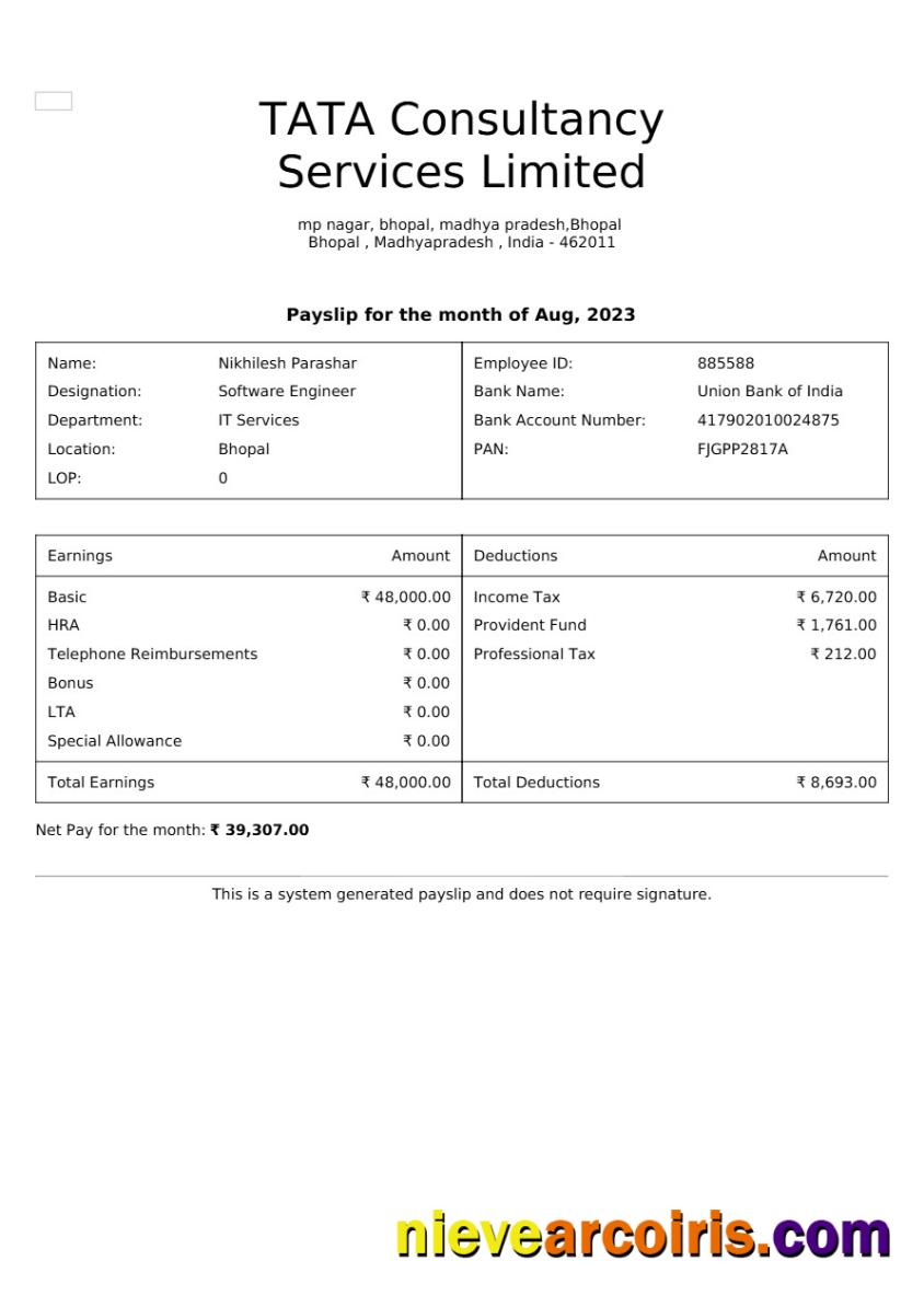 TATA Consultancy Services payslip version 2